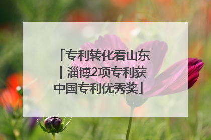 专利转化看山东｜淄博2项专利获中国专利优秀奖