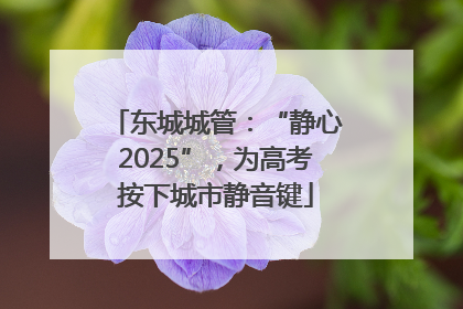 东城城管：“静心2025”，为高考按下城市静音键