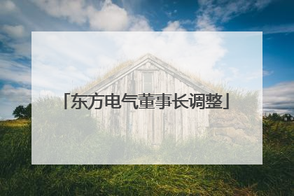 东方电气董事长调整