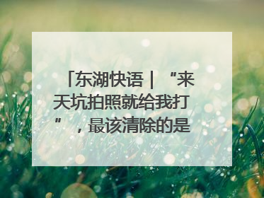 东湖快语｜“来天坑拍照就给我打”，最该清除的是“护短”思维