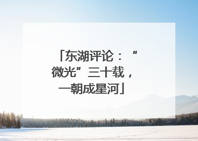 东湖评论：“微光”三十载，一朝成星河