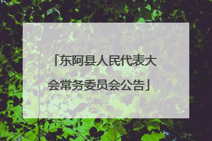 东阿县人民代表大会常务委员会公告