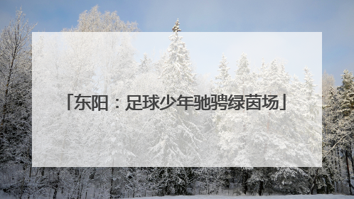 东阳：足球少年驰骋绿茵场