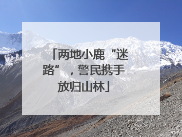 两地小鹿“迷路”，警民携手放归山林