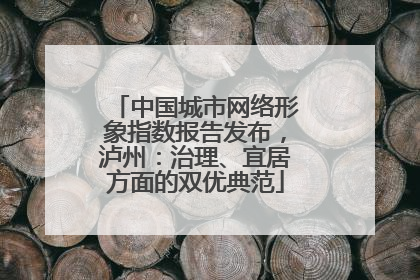 中国城市网络形象指数报告发布，泸州：治理、宜居方面的双优典范