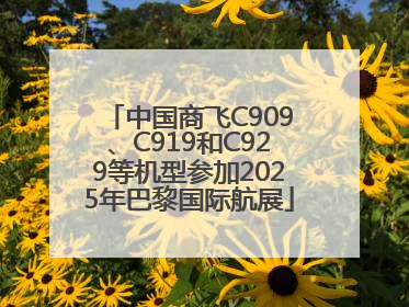 中国商飞C909、C919和C929等机型参加2025年巴黎国际航展