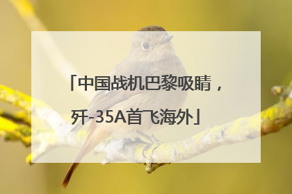 中国战机巴黎吸睛，歼-35A首飞海外
