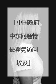中国政府中东问题特使翟隽访问埃及