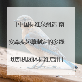 中国标准泉州造 南安牵头起草制定的多线切割机团体标准启用