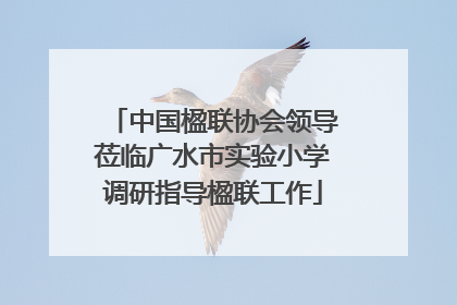 中国楹联协会领导莅临广水市实验小学调研指导楹联工作