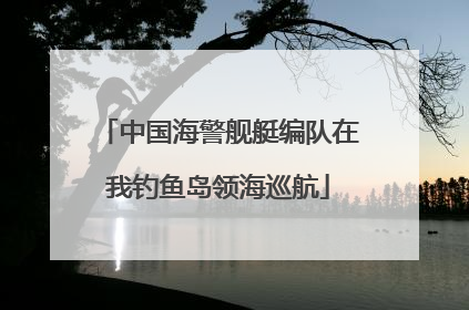 中国海警舰艇编队在我钓鱼岛领海巡航