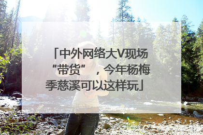 中外网络大V现场“带货”，今年杨梅季慈溪可以这样玩