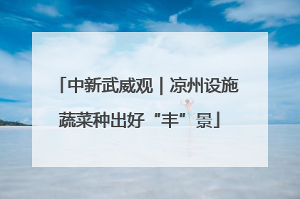 中新武威观｜凉州设施蔬菜种出好“丰”景
