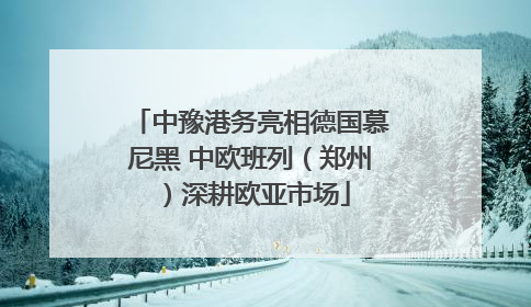 中豫港务亮相德国慕尼黑 中欧班列（郑州）深耕欧亚市场