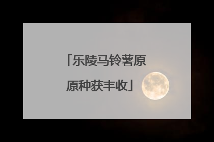 乐陵马铃薯原原种获丰收