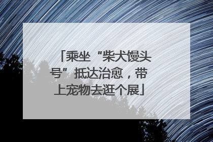 乘坐“柴犬馒头号”抵达治愈，带上宠物去逛个展