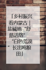 乡村振兴看内蒙古｜盐碱地“舒筋活络” “白色荒漠”长出吨粮田