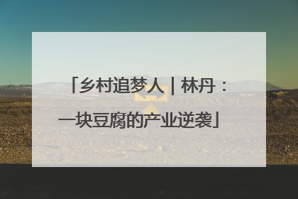 乡村追梦人｜林丹：一块豆腐的产业逆袭