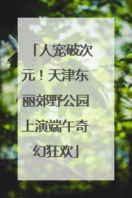 人宠破次元！天津东丽郊野公园上演端午奇幻狂欢