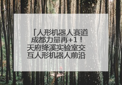 人形机器人赛道成都力量再+1！天府绛溪实验室交互人形机器人前沿研究中心成立