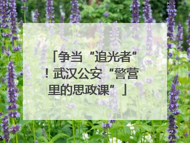 争当“追光者”！武汉公安“警营里的思政课”