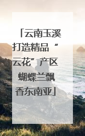 云南玉溪打造精品“云花”产区 蝴蝶兰飘香东南亚