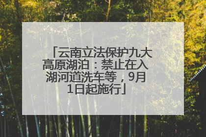 云南立法保护九大高原湖泊：禁止在入湖河道洗车等，9月1日起施行