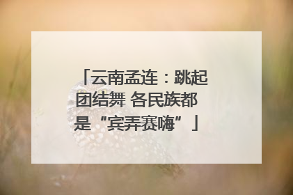 云南孟连：跳起团结舞 各民族都是“宾弄赛嗨”