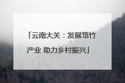 云南大关：发展筇竹产业 助力乡村振兴