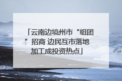 云南边境州市“组团”招商 边民互市落地加工成投资热点