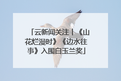 云新闻关注丨《山花烂漫时》《边水往事》入围白玉兰奖
