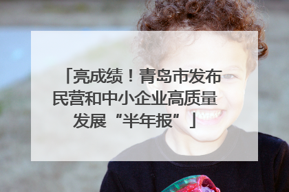 亮成绩！青岛市发布民营和中小企业高质量发展“半年报”