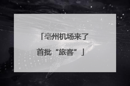 亳州机场来了首批“旅客”