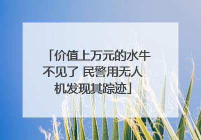 价值上万元的水牛不见了 民警用无人机发现其踪迹