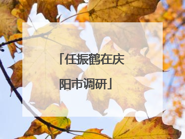 任振鹤在庆阳市调研