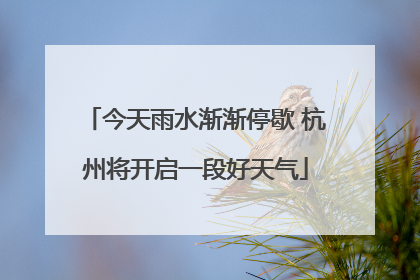 今天雨水渐渐停歇 杭州将开启一段好天气