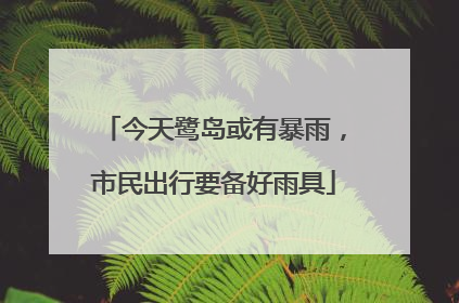 今天鹭岛或有暴雨，市民出行要备好雨具