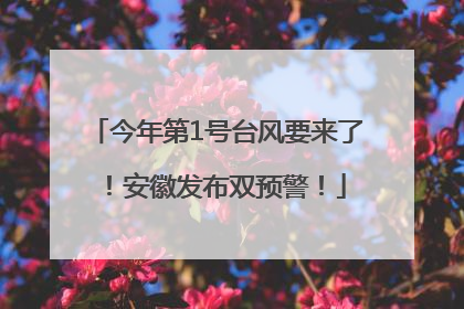 今年第1号台风要来了！安徽发布双预警！