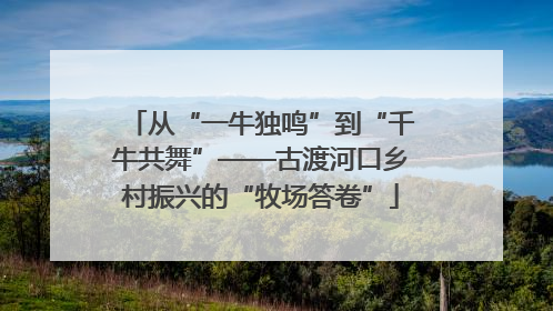 从“一牛独鸣”到“千牛共舞”——古渡河口乡村振兴的“牧场答卷”