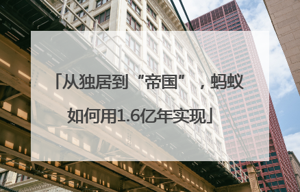 从独居到“帝国”，蚂蚁如何用1.6亿年实现