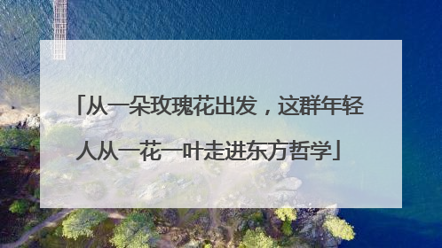 从一朵玫瑰花出发，这群年轻人从一花一叶走进东方哲学