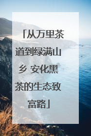 从万里茶道到绿满山乡 安化黑茶的生态致富路