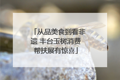 从品美食到看非遗 丰台玉树消费帮扶展有惊喜