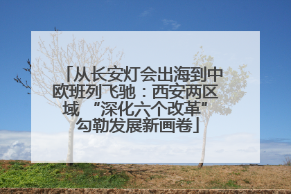 从长安灯会出海到中欧班列飞驰：西安两区域 “深化六个改革” 勾勒发展新画卷