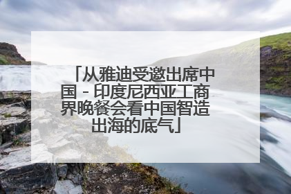 从雅迪受邀出席中国－印度尼西亚工商界晚餐会看中国智造出海的底气