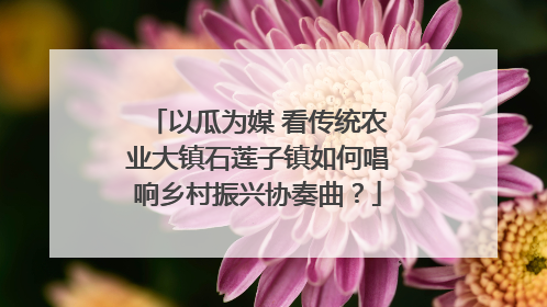 以瓜为媒 看传统农业大镇石莲子镇如何唱响乡村振兴协奏曲？