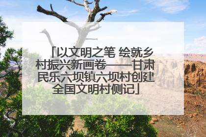 以文明之笔 绘就乡村振兴新画卷——甘肃民乐六坝镇六坝村创建全国文明村侧记