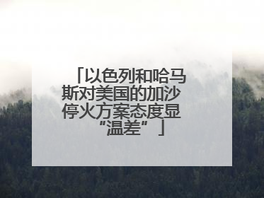 以色列和哈马斯对美国的加沙停火方案态度显“温差”