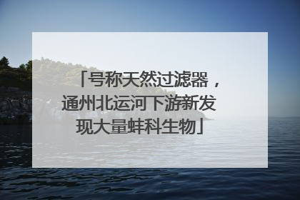 号称天然过滤器，通州北运河下游新发现大量蚌科生物