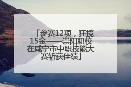 参赛12项，狂揽15金——崇阳职校在咸宁市中职技能大赛斩获佳绩